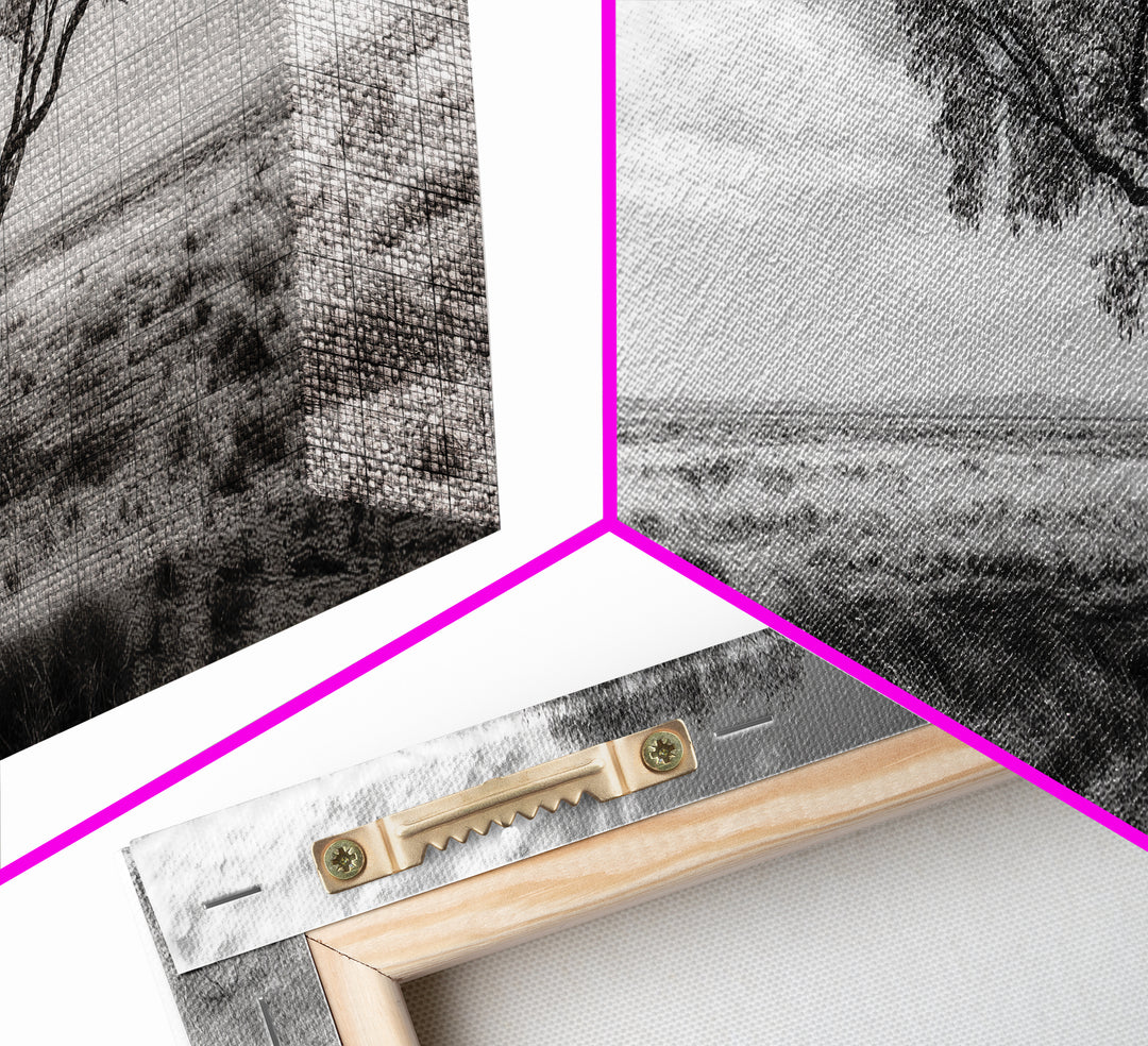 Desert Tree, Solitude Scene, Nature Photography, Framed Canvas Print, Minimalist Tree Art, Bedroom Wall Decor, Neutral Landscape Art