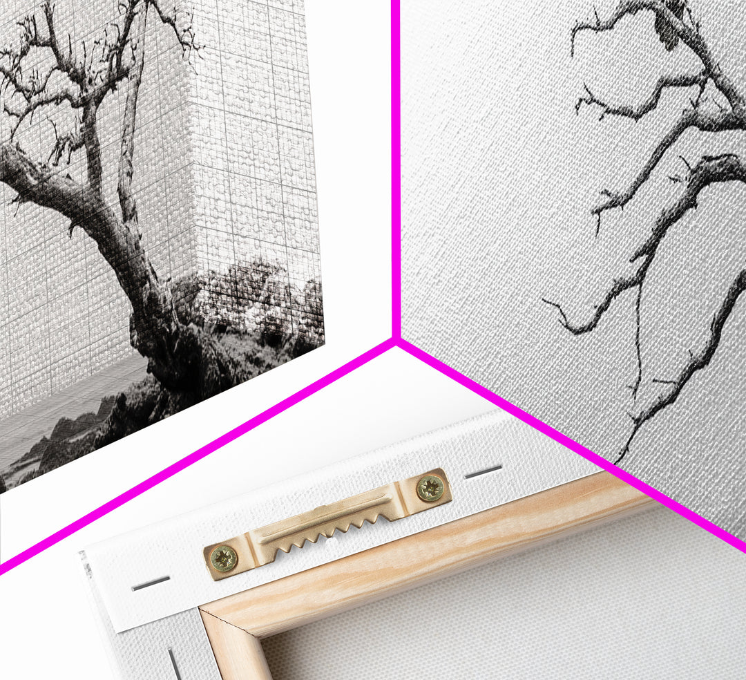 Bald Eagle, Tree Perch, Foggy Coast, Framed Canvas Print, Wildlife Photography, Cabin Wall Art, Rustic Minimalist Decor