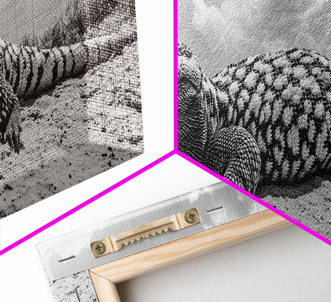 Desert Lizard, Reptile Closeup, Sunbaked Texture, Canvas Print, Wildlife Photography, Bold Wall Art, Southwestern Living Room