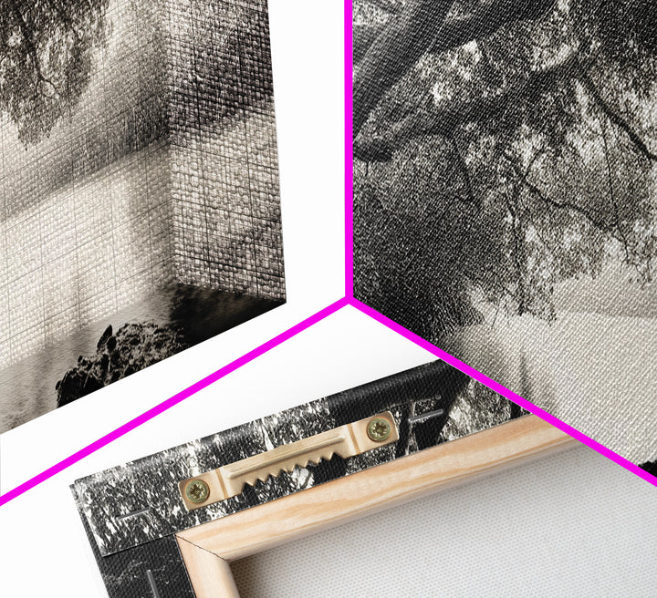 Mangrove Forest, River Flow, Rooted Stillness, Canvas Print, Zen Office Decor, Moody Jungle Art, Monochrome Nature Print