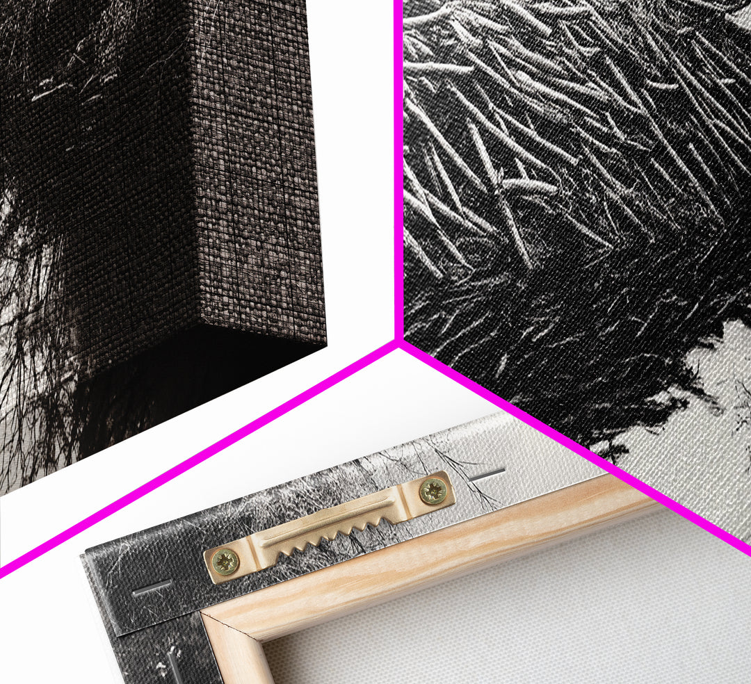 Beaver Dam, Nature Structure, Quiet Creek, Reflection Art, Framed Canvas Print, Cabin Wall Art, Rustic Decor, Woodland Black and White Art