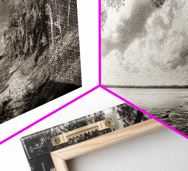 Ancient Tree, Spanish Moss, Forest Path, Framed Canvas Print, Rustic Nature Art, Living Room Wall Art, Earthy Tones, Woodland Photography