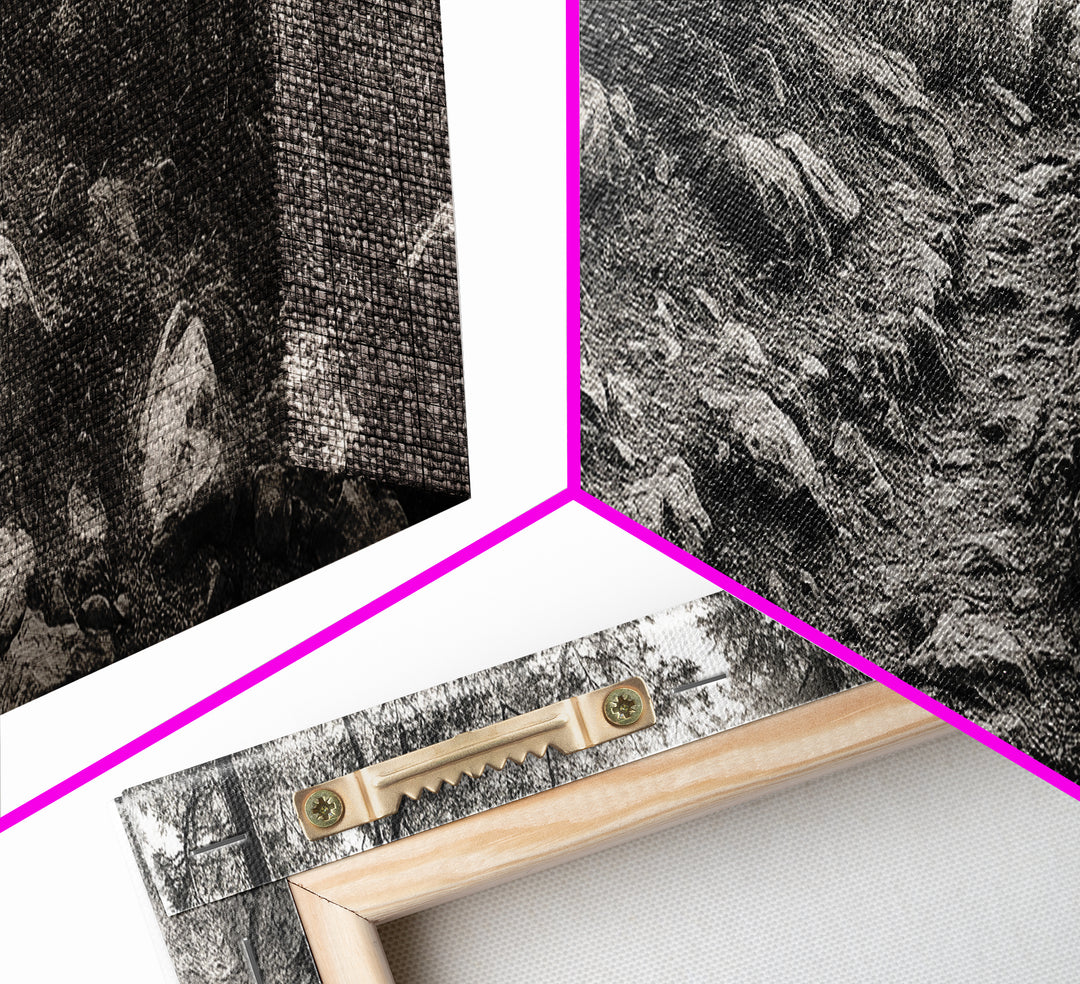 Rocky Path, Forest Trail, Autumn Mood, Canvas Print, Nature Photography, Rustic Entryway Decor, Woodland Art, Cabin Hallway Style