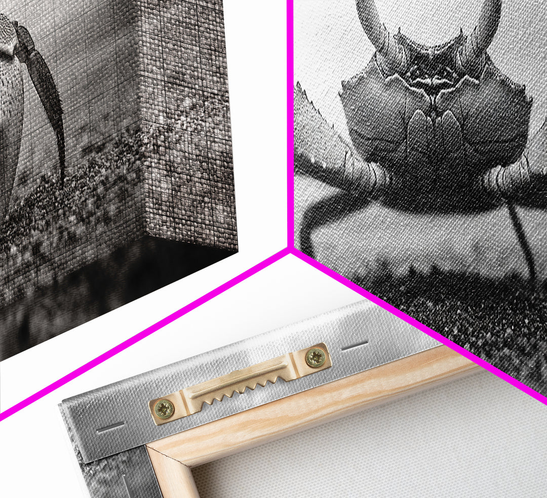 Closeup Crab, Coastal Creature, Dramatic Sand, Framed Canvas Print, Beach Wall Art, Nautical Bathroom Decor, Ocean Nature Photo