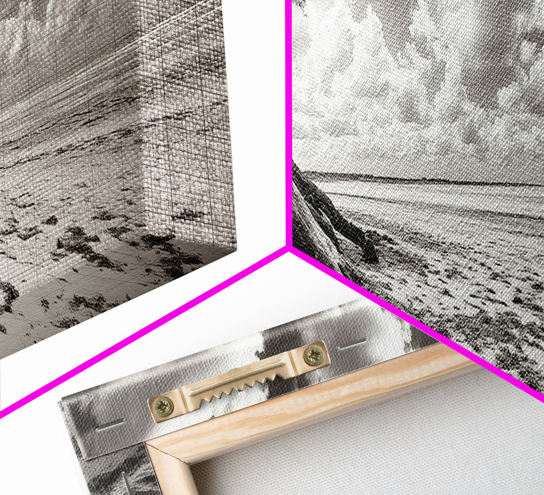 Coastal Tree Roots, Windswept Beach, Natural Form, Framed Canvas Print, Boho Wall Art, Entryway Decor, Beach House Aesthetic