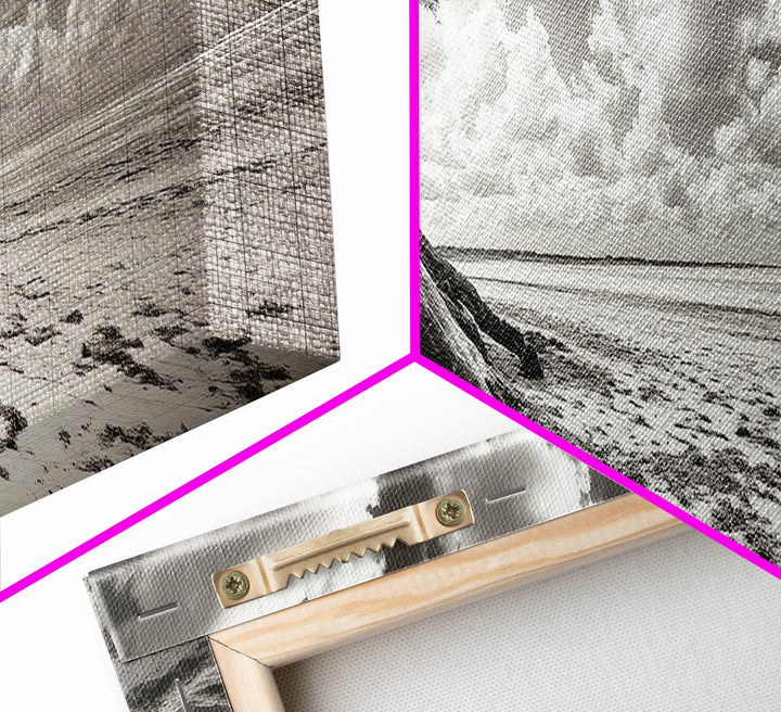 Coastal Tree Roots, Windswept Beach, Natural Form, Framed Canvas Print, Boho Wall Art, Entryway Decor, Beach House Aesthetic