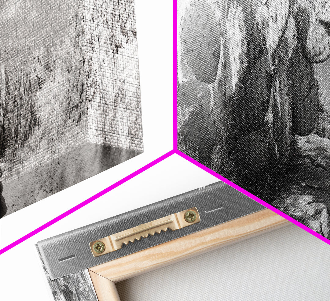 Desert Cactus Garden, Sunlit Southwest Scene, Nature Landscape Art, Canvas Print, Rustic Living Room Wall Decor, Boho Style