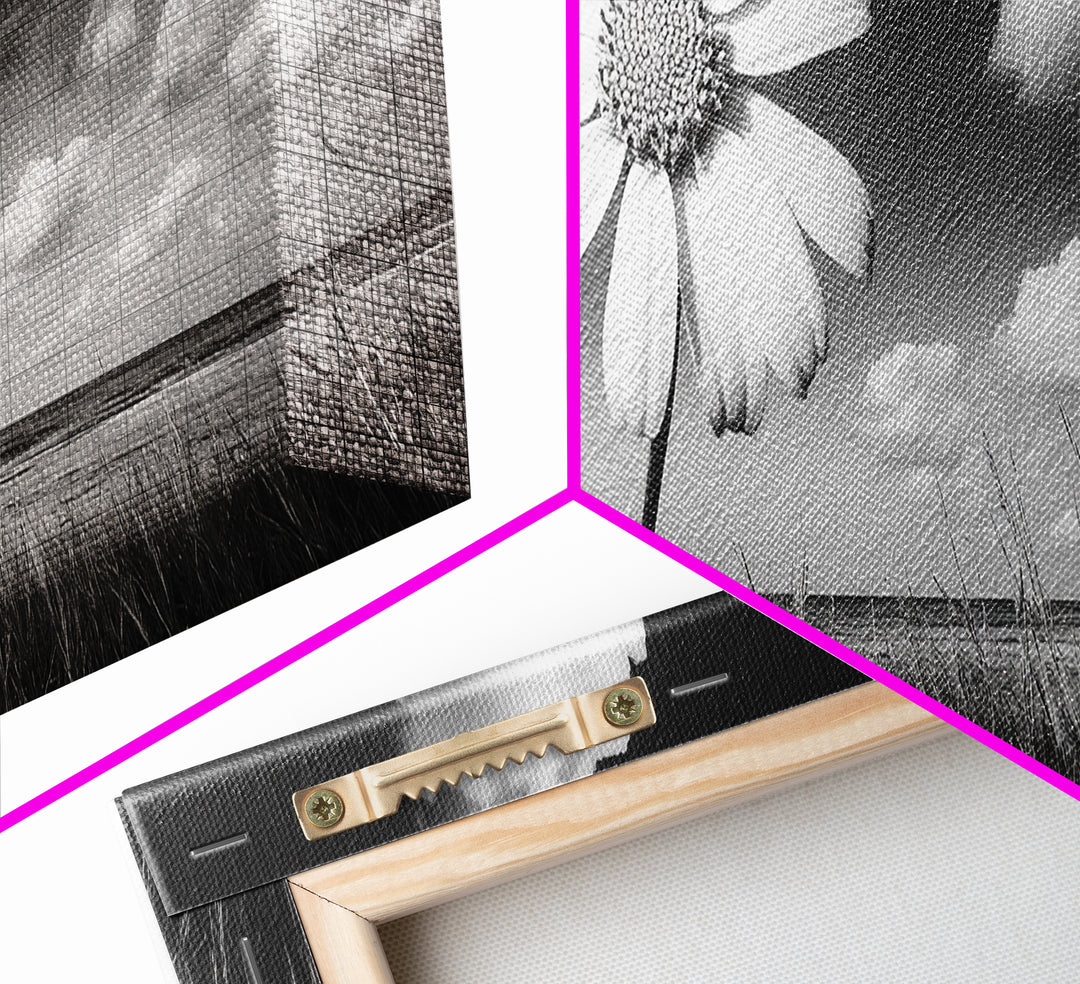 Daisy Flower, Single Bloom, Coastal Breeze, Minimal Wall Decor, Framed Canvas Print, Boho Bedroom Art, Nature Inspired Photography