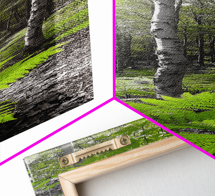 Birch Tree Forest, Green Ferns, Nature Escape, Framed Canvas Print, Botanical Art, Eco Wall Decor, Zen Forest Scene, Serene Living Room