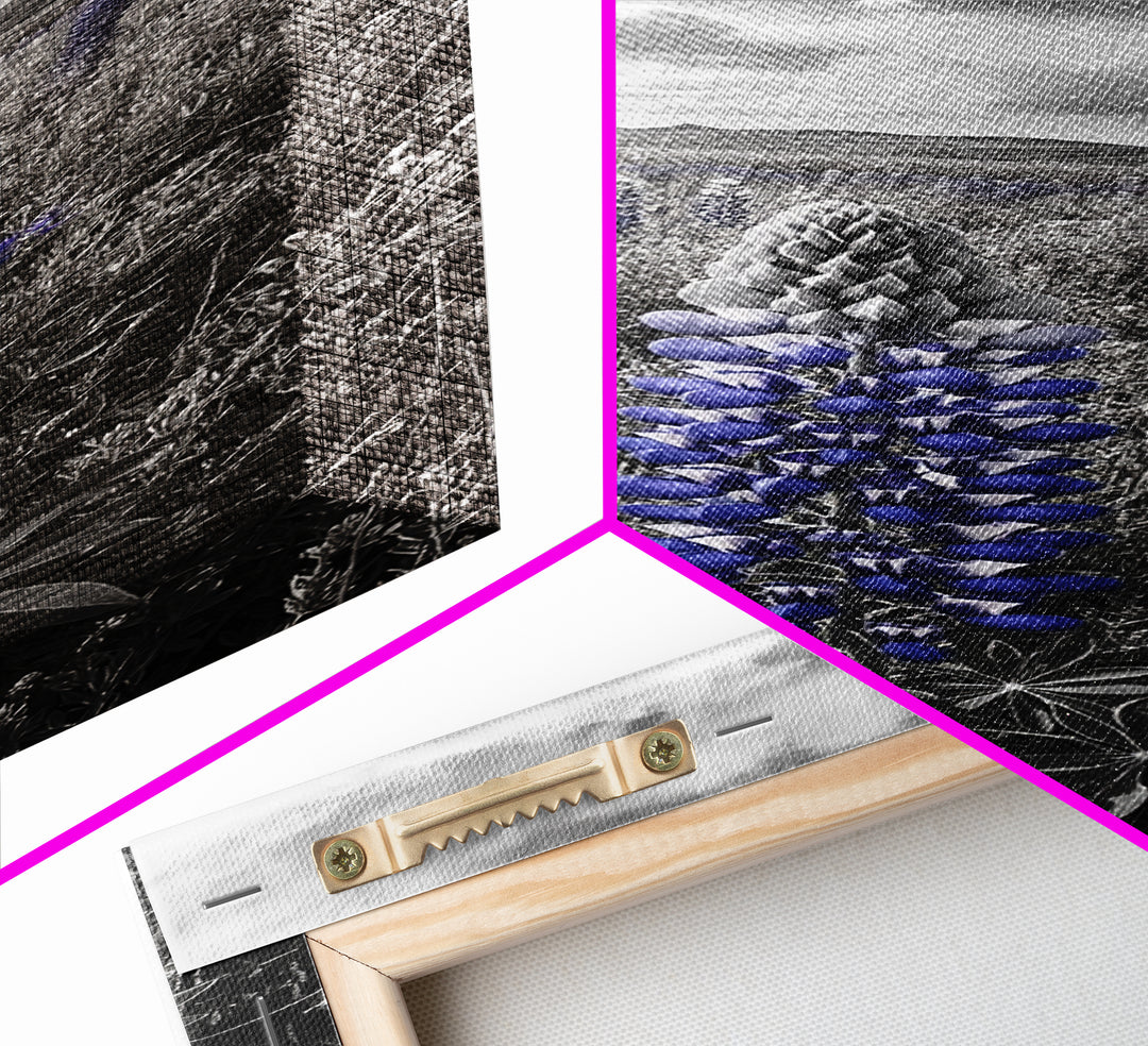 Blue Lupine, Wildflower Meadow, Cloudy Sky, Spring Bloom Framed Canvas Print, floral nature art, botanical hallway wall decor