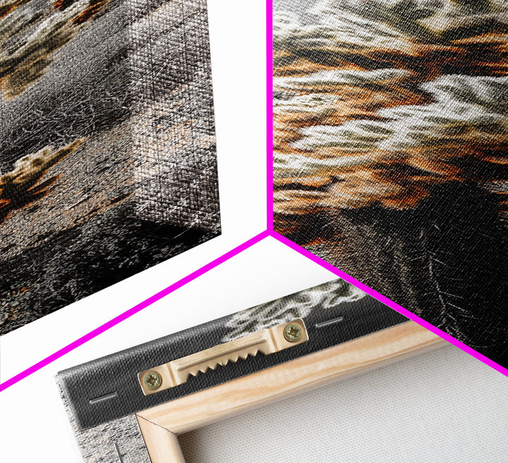 Cholla Cactus Desert, Southwestern Nature Scene, Spiky Plant Decor, Framed Canvas Print, Minimalist Boho Art, Sunroom or Entryway Style