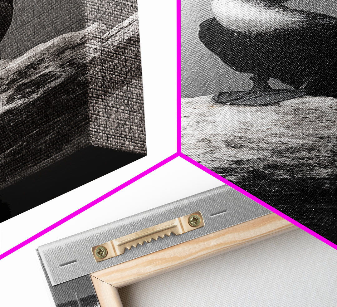 Cormorant Bird, Coastal Bird Art, Water Bird, Minimal Nature Art, Black and White Wildlife, Framed Canvas Print, Modern Entryway Wall Art