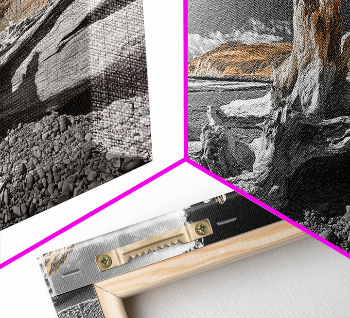 Coastal Driftwood, Beach Scene, Natural Texture, Modern Rustic, Framed Canvas Print, Neutral Tones, Office Wall Art, Coastal Vibe Decor