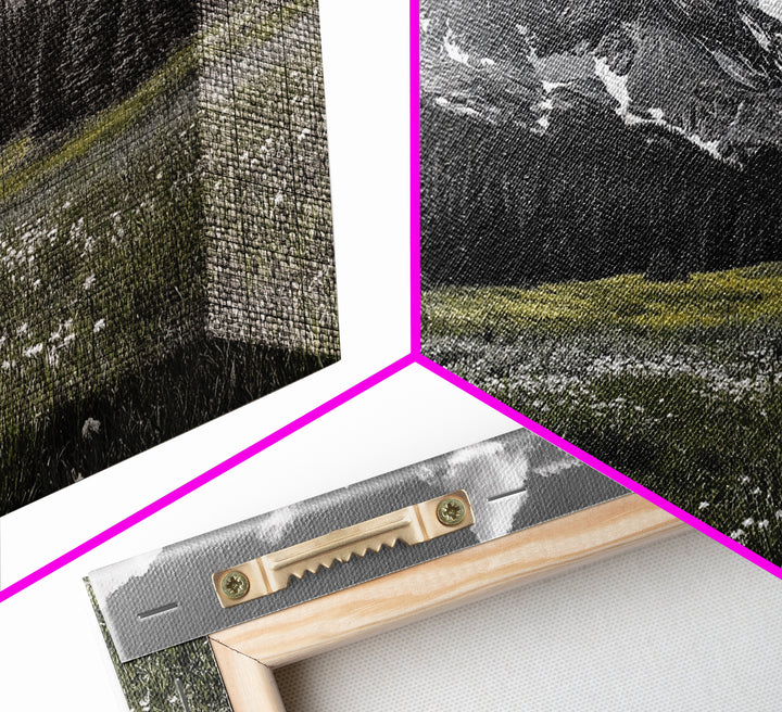Mountain, Meadow, Wildflowers, Alpine meadow bloom and majestic peak on this Framed Canvas Print, serene Nature Wall Art for Entryway