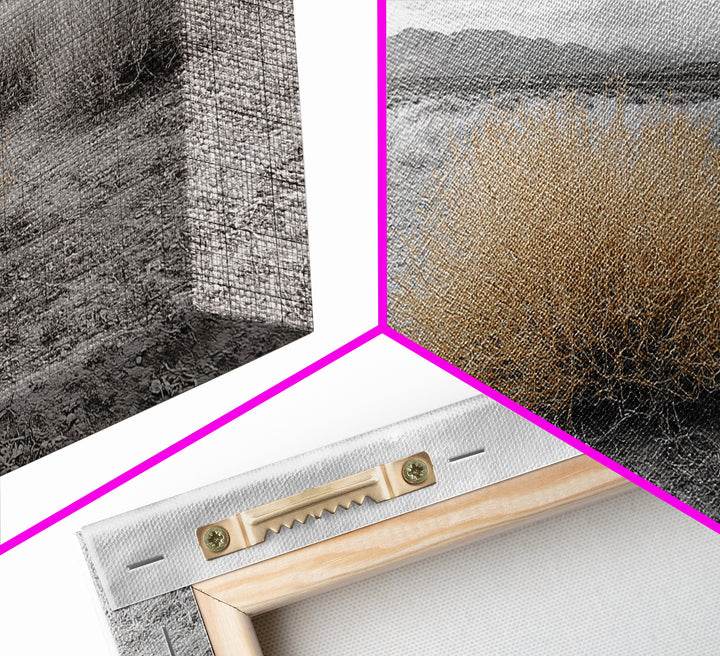 Desert Scene, Tumbleweed Beauty, Arid Landscape, Western Mood, Framed Canvas Print, Neutral Art, Entryway Wall Art, Rustic Home Style