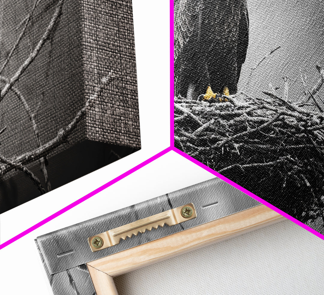 Bald Eagle, Monochrome Nature, Wildlife Photography, Fierce Majesty, Framed Canvas Print, Office Wall Art, Black White Bold Bird Scene