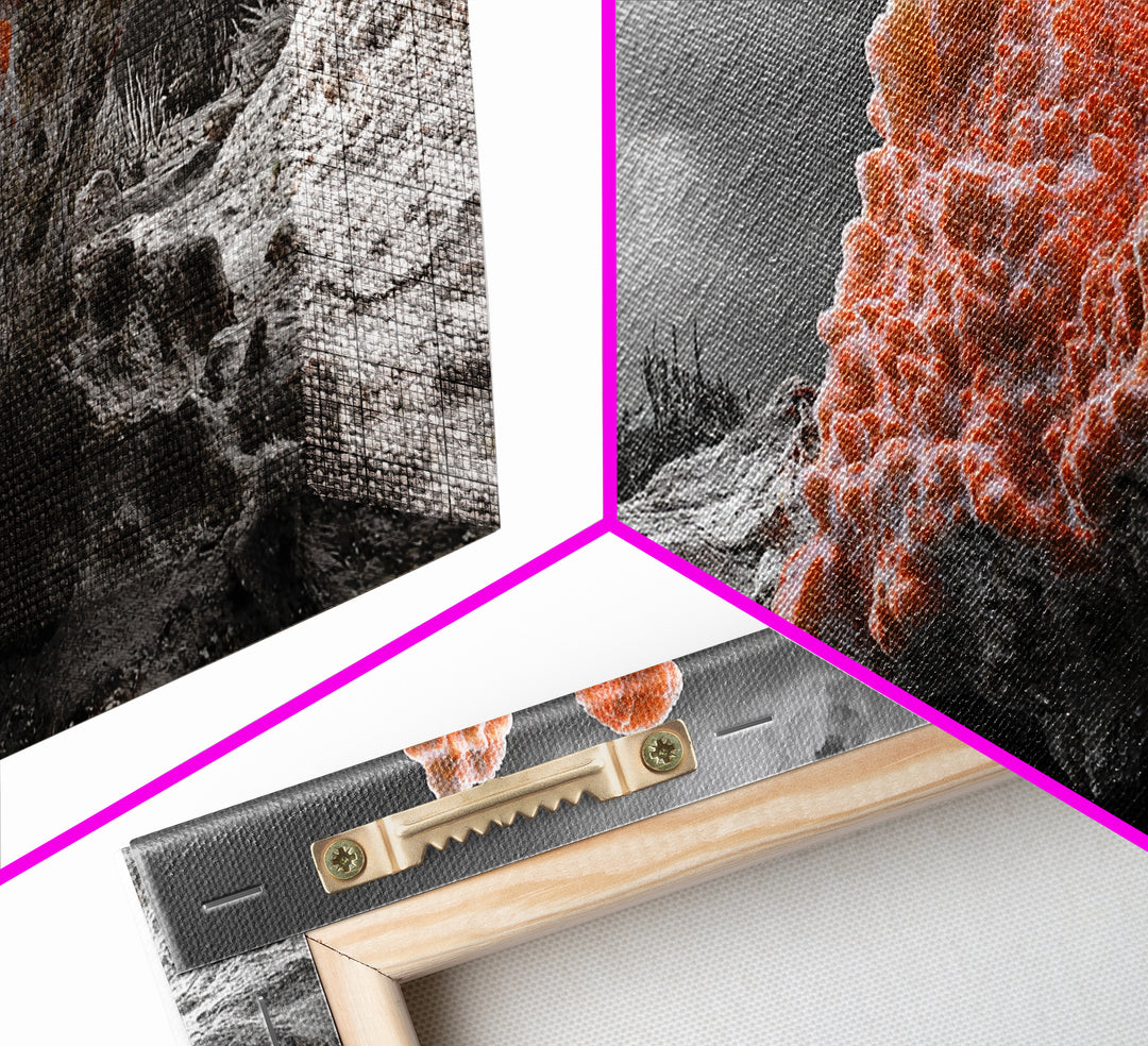 Coral Texture Art, Desert Coral Print, Earthy Organic Decor, Vibrant Nature Scene, Framed Canvas Print, Living Room Wall Art, Natural Art