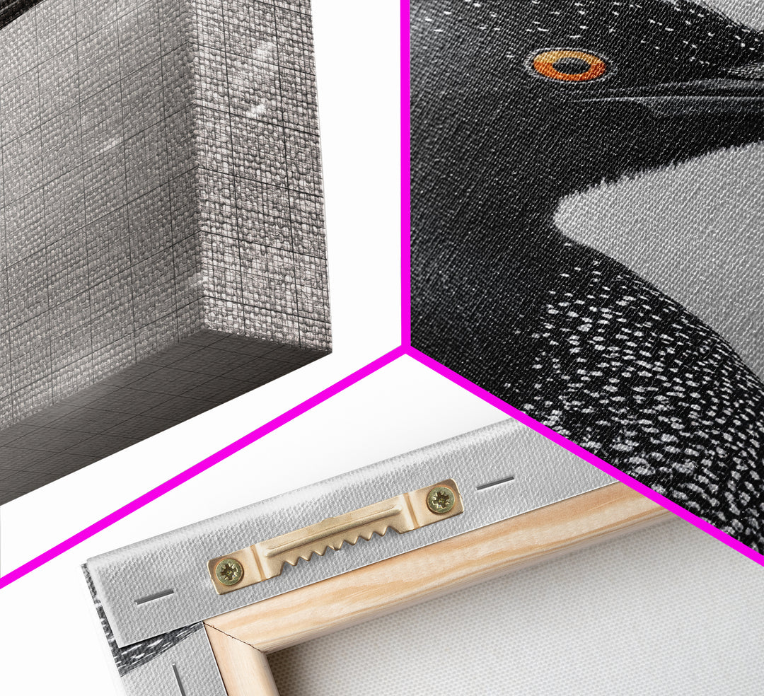 Black Loon, Bird Closeup, Snowy Glow, Winter Nature Canvas Print, Wildlife Wall Art, Modern Bedroom Decor, Birdwatcher Gift Print