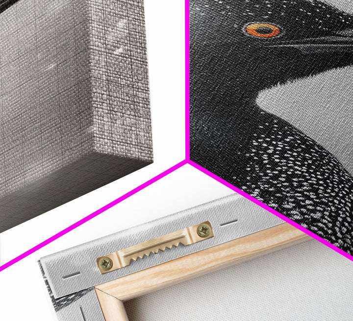 Black Loon, Bird Closeup, Snowy Glow, Winter Nature Canvas Print, Wildlife Wall Art, Modern Bedroom Decor, Birdwatcher Gift Print