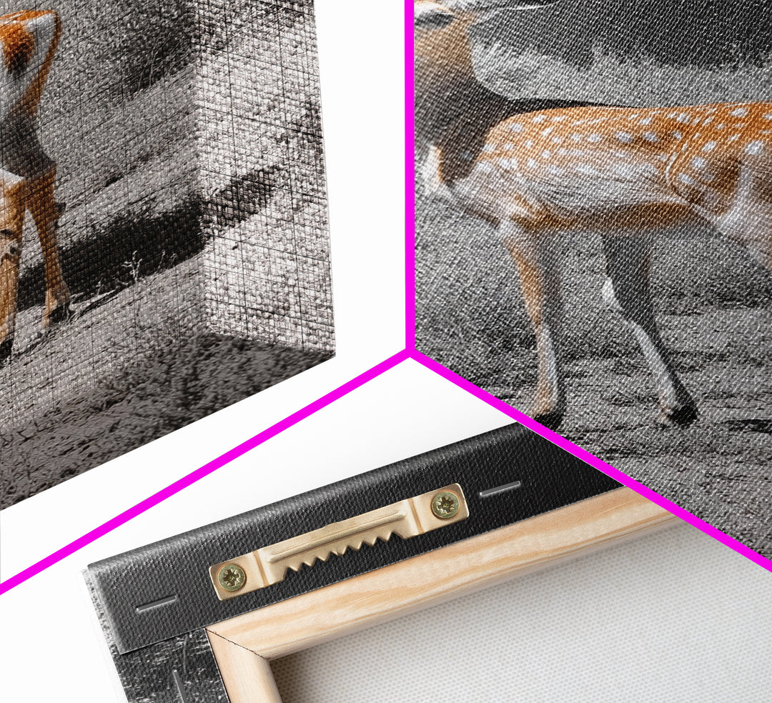 Baby Deer, Spotted Fawn, Desert Wildlife, Framed Canvas Print, Nursery Wall Art, Wildlife Nature Decor, Gentle Forest Animal Art