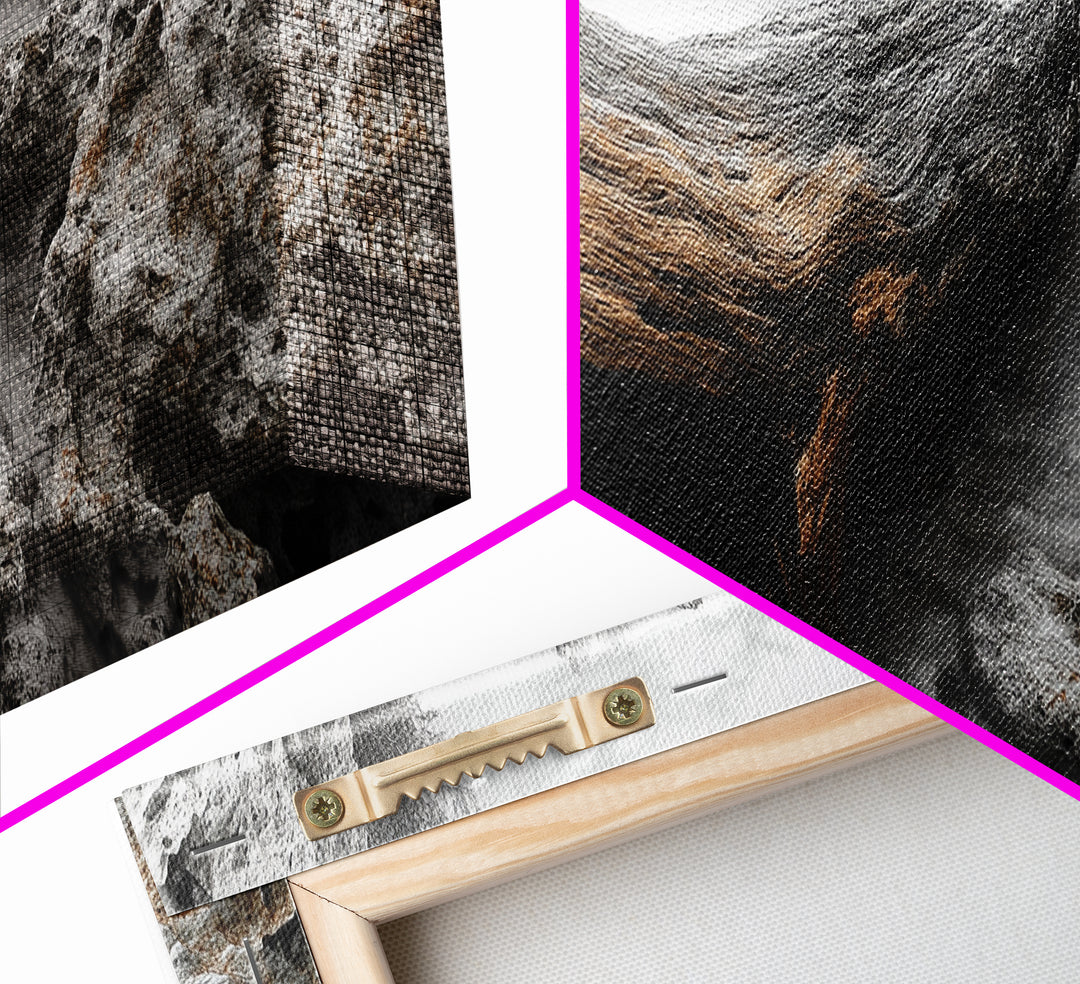 Driftwood Coast, Ocean Roots, Washed Ashore, Beach Texture — Canvas Print, Coastal Decor, Bathroom Wall Art, Monochrome Nature Photography