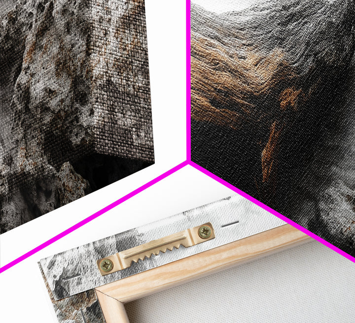 Driftwood Coast, Ocean Roots, Washed Ashore, Beach Texture — Canvas Print, Coastal Decor, Bathroom Wall Art, Monochrome Nature Photography