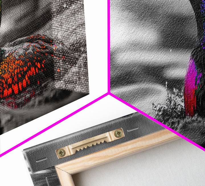 Colorful Loon, Rainbow Feathers, Water Splash, Unique Wildlife, Framed Canvas Print, Bathroom Wall Art, Eclectic Style, Birdwatcher Gift