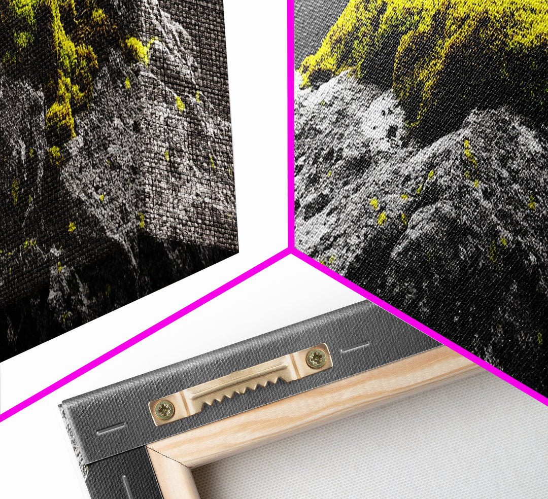 Yellow Moss, Stone Detail, Minimal Nature, Framed Canvas Print, modern zen wall art, earthy bathroom decor, botanical accent