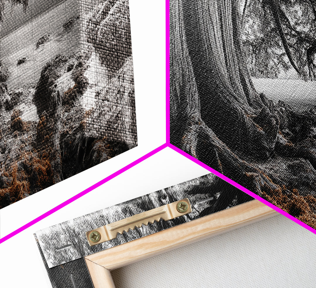 Ancient Tree, Forest Roots, Coastal Woods, Mystical Scene, Framed Canvas Print, Nature Wall Art, Woodland Decor, Moody Living Room Art