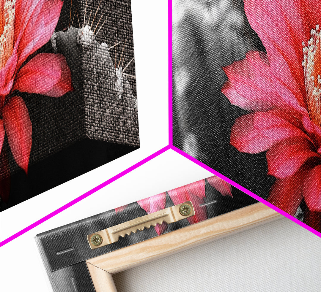 Desert Bloom, Cactus Flower, Vibrant Petals, Nature Beauty, Framed Canvas Print, Boho Wall Art, Living Room Decor, Pink Flower Photography