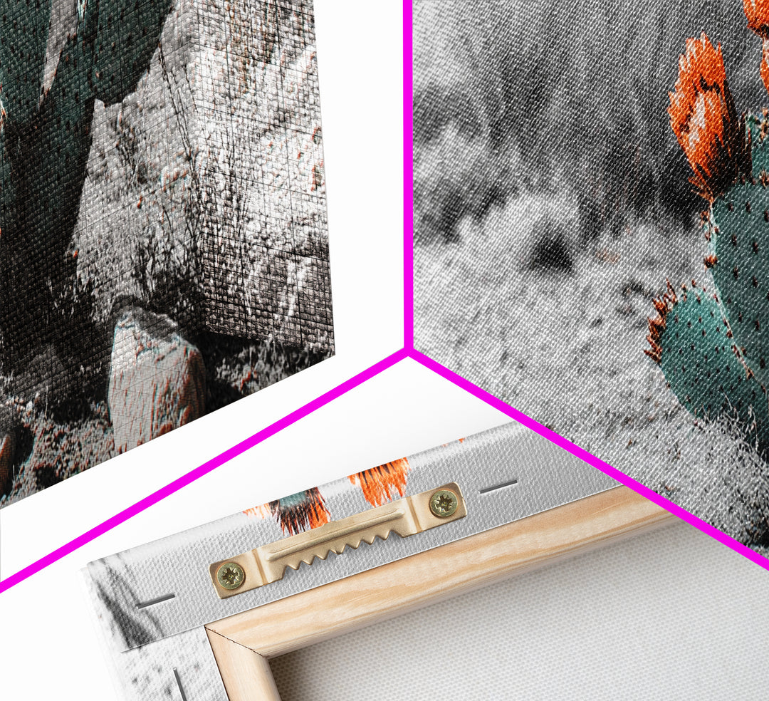 Cactus Garden, Desert Life, Orange Bloom, Nature Vibes, Framed Canvas Print, Rustic Wall Art, Boho Decor, Office Botanical Accent