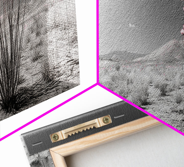 Desert Bloom Flowers, Pink Wildflower Landscape, Nature Wall Art, Framed Canvas Print, Boho Decor, Feminine Desert Bedroom Aesthetic