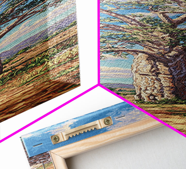 Sunlit Baobab Tree Landscape, African Wall Art, Safari Decor, Nature Scene Art, Blue Sky Framed Canvas Print Gift For Living Room