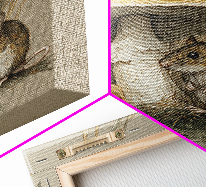 Tiny Field Mouse Canvas Print, Animal Art, Nursery, Living Room Decor, Fine Art, Creature, Modern Decor, Fine Art Print, ANI-1x1-10