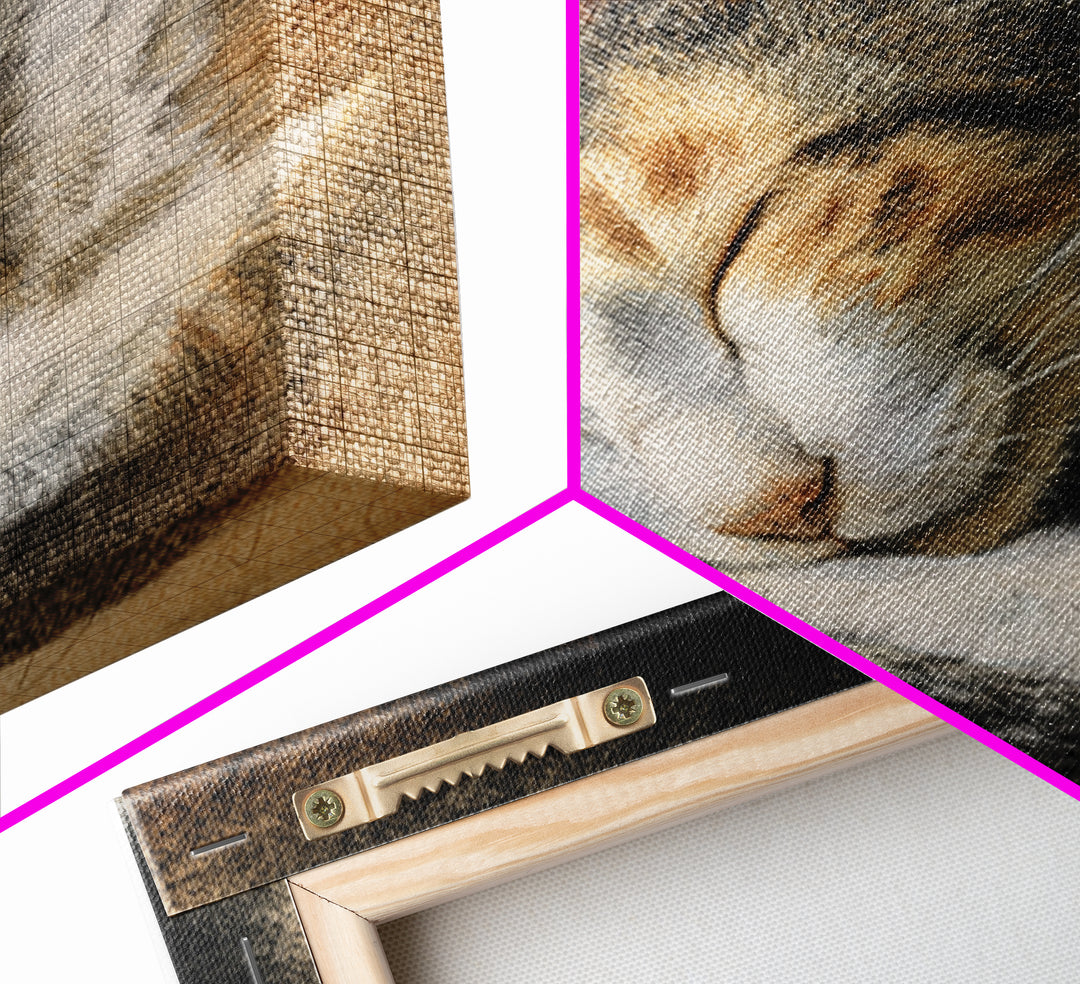 Sleeping Cat Curled Canvas Print, Animal Art, Nursery, Living Room Decor, Fine Art, Creature, Modern Decor, Fine Art Print, ANI-1x1-60