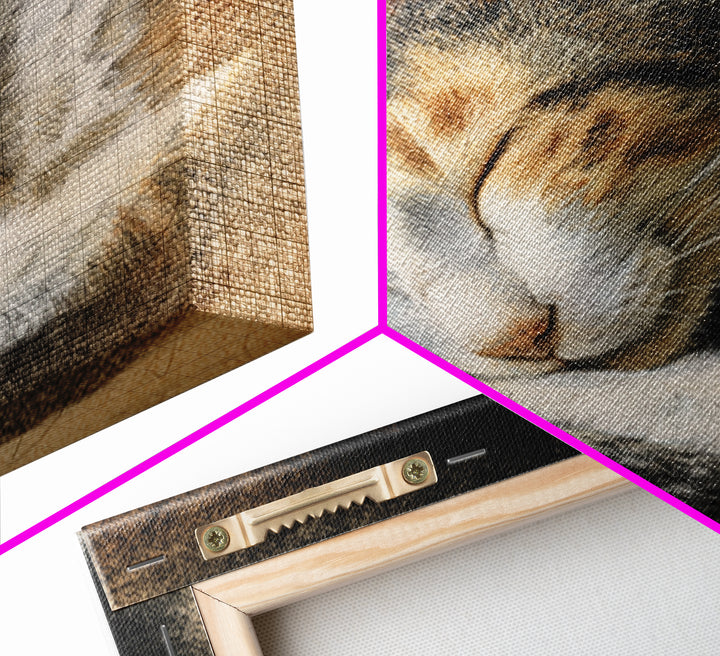 Sleeping Cat Curled Canvas Print, Animal Art, Nursery, Living Room Decor, Fine Art, Creature, Modern Decor, Fine Art Print, ANI-1x1-60