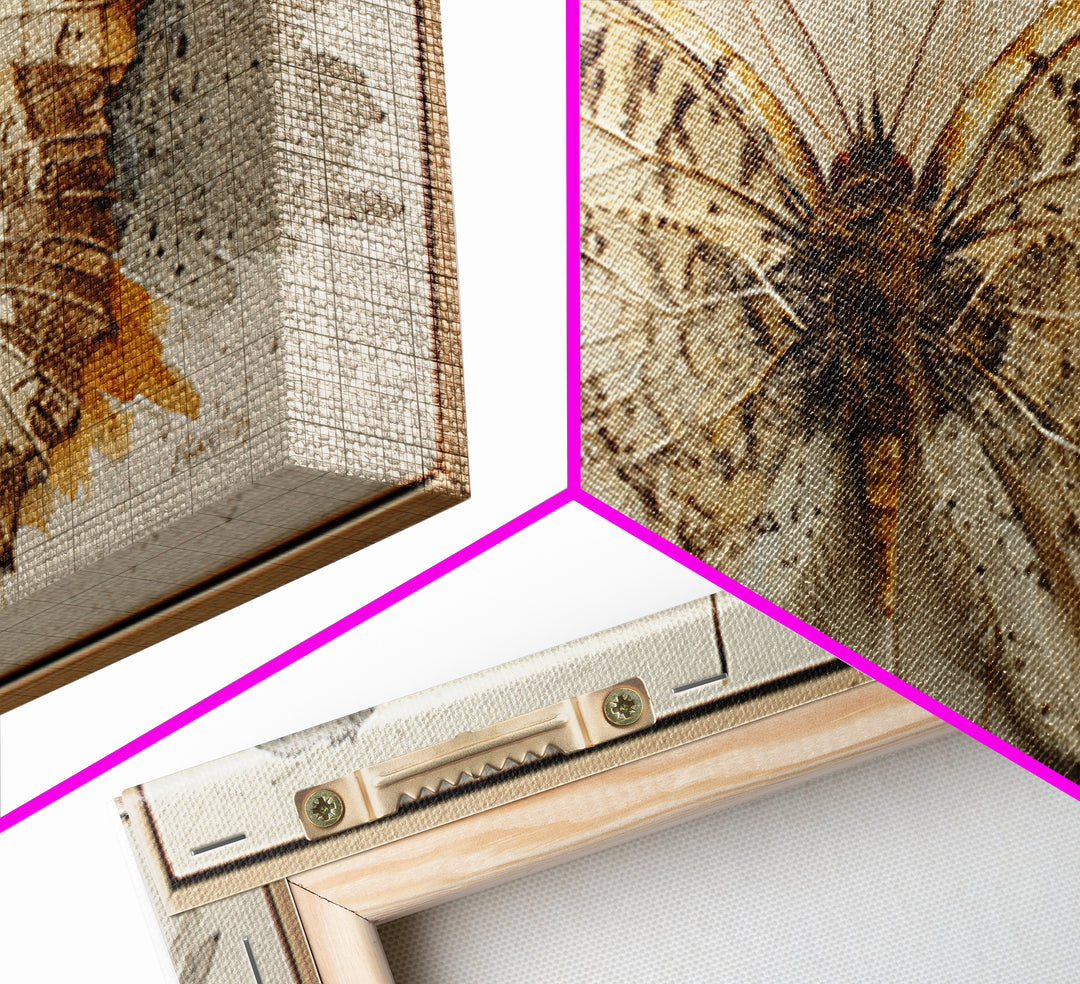 Butterfly Specimen Composition Framed Canvas Print, Animal Art, Digital Prints, Living Room Decor, Fine Art, Creature, ANI-2x1-43