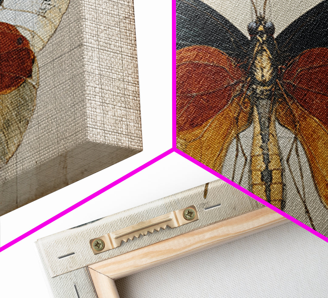 Butterfly Specimen Composition Framed Canvas Print, Animal Art, Digital Art, Living Room Decor, Creature, Farmhouse Decor, ANI-2x1-91