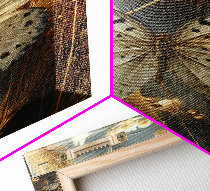 Butterfly Specimen Composition Framed Canvas Print, Animal Art, Textured Painting, Living Room Decor, Fine Art, Creature, ANI-2x3-55