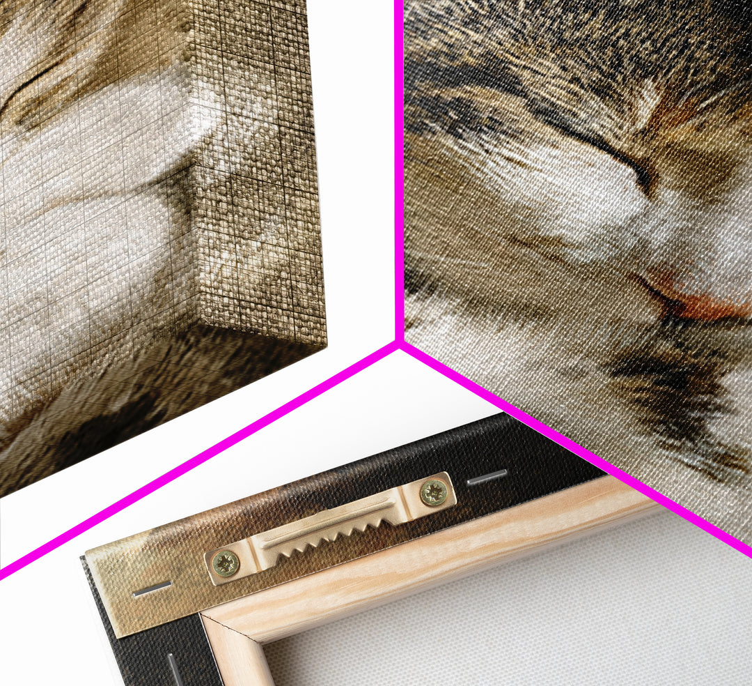 Sleeping Cat Curled Framed Canvas Print, Animal Art, Gallery Decor, Living Room Decor, Abstract Art, Creature, Contemporary Art, ANI-2x3-92