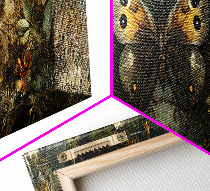 Butterfly Specimen Composition Framed Canvas Print, Animal Art, Trendy Wall Art, Living Room Decor, Fine Art, Creature, ANI-3x1-15