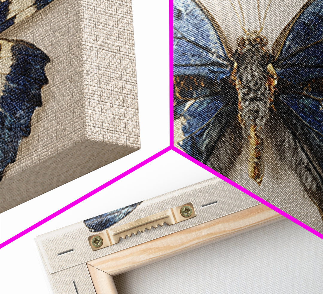 Butterfly Specimen Composition Framed Canvas Print, Animal Art, Farmhouse Decor, Living Room Decor, Fine Art, Creature, ANI-3x2-27