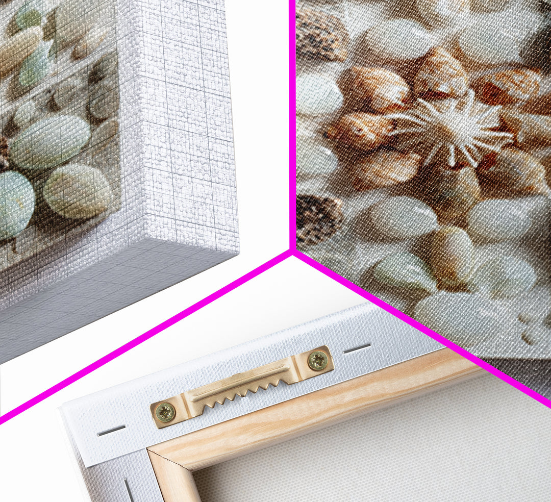 Coral and Shell Arrangement Framed Canvas Print, Bathroom Art, Neutral Decor, Bathroom Decor, Fine Art, Spa, Wall Art, BAT-1x1-83