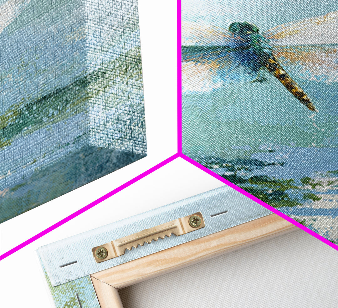 Delicate Dragonfly Above a Pond Surface Framed Canvas Print, Bathroom Art, Poster, Bathroom Decor, Fine Art, Spa, Digital Print, BAT-1x1-96