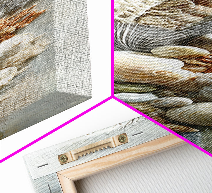 Coral and Shell Arrangement Framed Canvas Print, Bathroom Art, Bathroom Decor, Fine Art, Spa, Bathroom Accessories, Modern Art, BAT-1x3-71