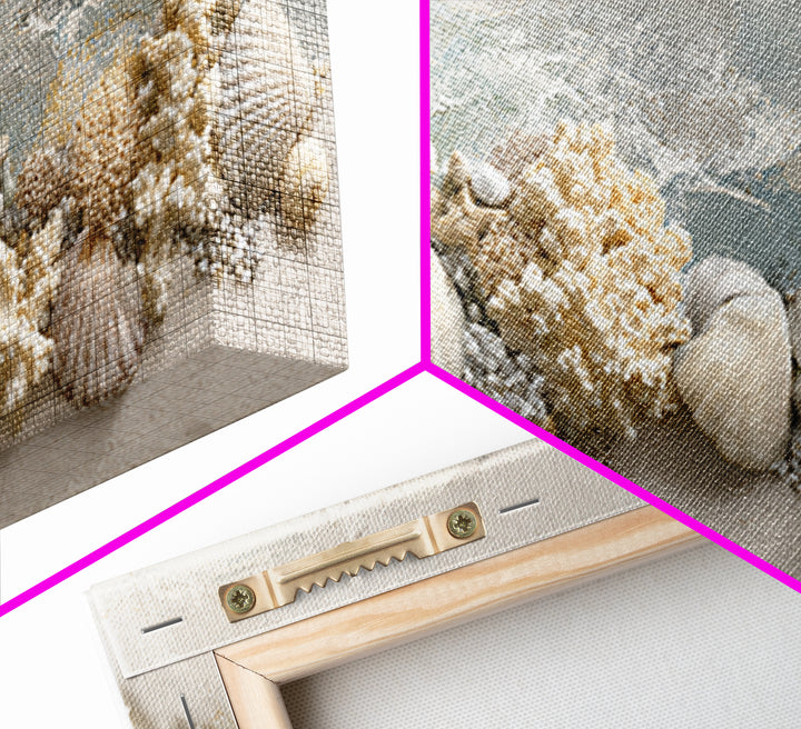 Coral and Shell Arrangement Framed Canvas Print, Bathroom Art, Contemporary Art, Bathroom Decor, Fine Art, Spa, Framed Wall Art, BAT-2x1-7