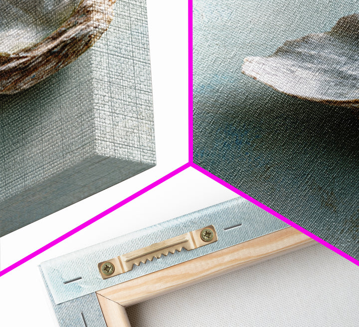 Oyster Shell Study Framed Canvas Print, Bathroom Art, Wall Decor, Bathroom Decor, Fine Art, Spa, Contemporary Art, Wall Art, BAT-2x3-30