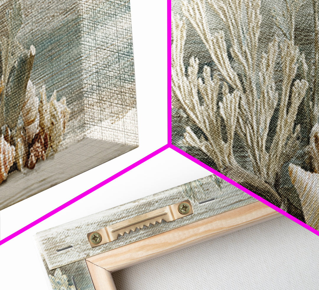 Coral and Shell Arrangement Framed Canvas Print, Bathroom Art, Wall Decor, Bathroom Decor, Fine Art, Spa, Contemporary Art, BAT-3x1-99