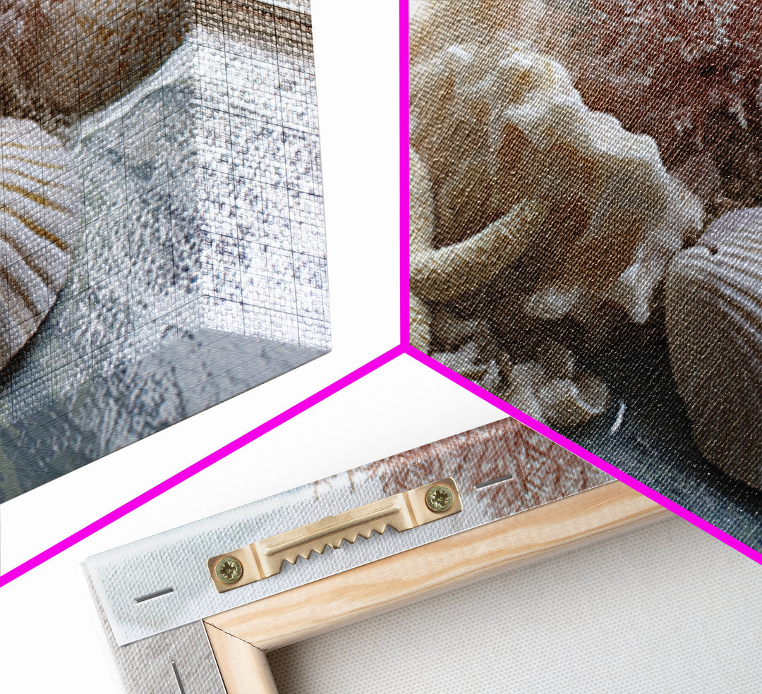 Coral and Shell Arrangement Framed Canvas Print, Bathroom Art, Retro Wall Art, Bathroom Decor, Fine Art, Spa, Modern Decor, BAT-3x2-39