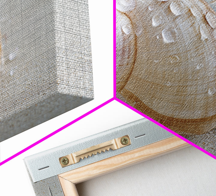 Minimal Seashell Still Life on Pale Sand Framed Canvas Print, Bathroom Art, Boho Decor, Bathroom Decor, Oil Painting, Spa, BAT-3x2-55